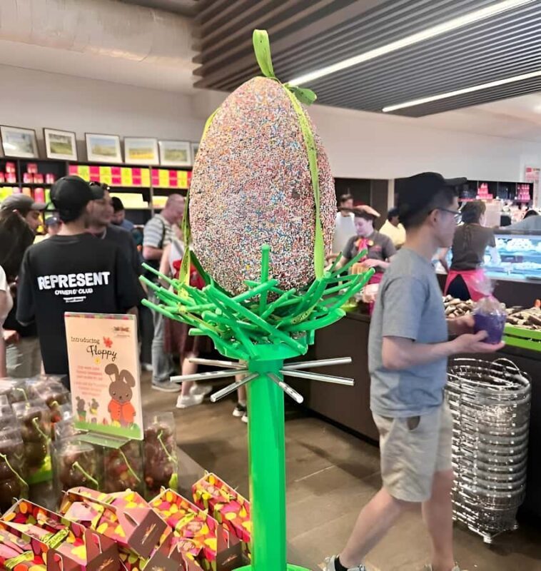 Yarra Valley | Redwoods, Wildlife, Wine, Chocolate - Who Will Enjoy This Tour?