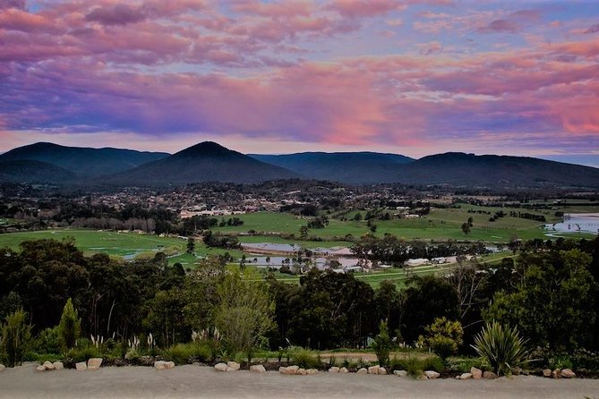 Yarra Valley Small-Group Wine Tour With 2 Course Lunch - Traveler Reviews