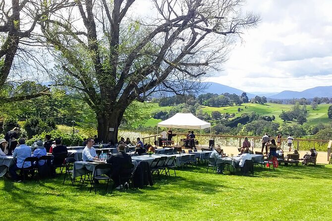 Yarra Valley Smaller Wineries Food and Wine Tour - Wineries Included