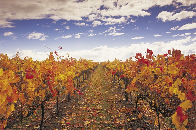 Yarra Valley Wildlife & Wine Day Tour From Melbourne With Healesville Sanctuary - The Sum Up