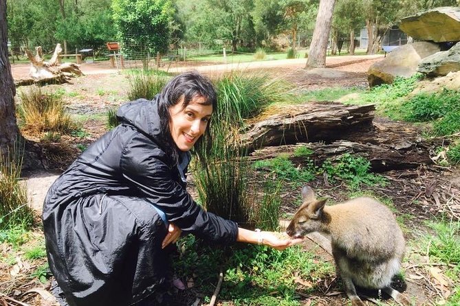 Yarra Valley Wine, Food and Wildlife Private Tour - Traveler Photos and Reviews