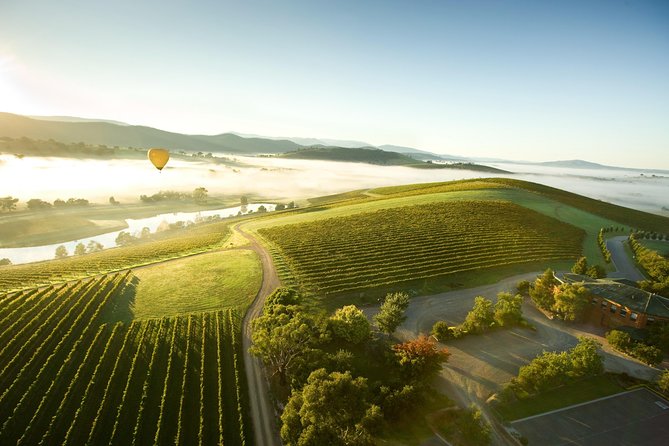 Yarra Valley Wine & Food Day Tour From Melbourne With Lunch at Yering Station - Tour Overview and Highlights