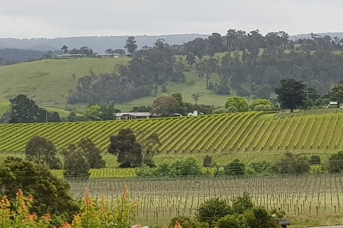 Yarra Valley Wine Tasting Day Tour From Melbourne - Tour Details and Itinerary