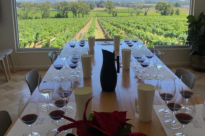 Yarra Valley Wine Tasting Private Tours - Yarra Valley Wine Tasting Private Tours: A Balanced Look at an Authentic Experience