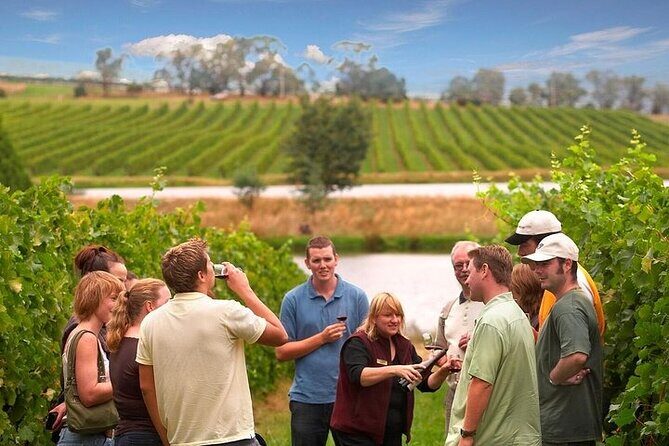 Yarra Valley Wine & Winery Tour from Melbourne - All Inclusive! - Good To Know