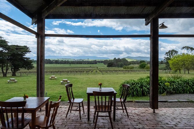 Yarra Valley Wine & Winery Tour from Melbourne - All Inclusive! - Final Thoughts