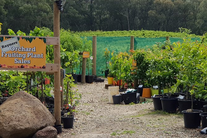 Yarra Valley Wineries and Rayners Orchard Tour From Melbourne - Pricing