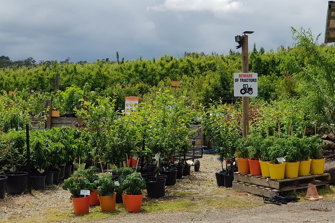 Yarra Valley Wineries and Rayners Orchard Tour From Melbourne - Location