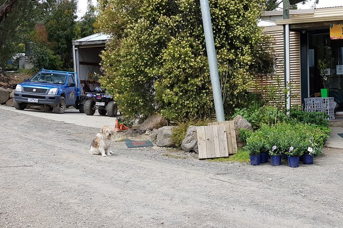 Yarra Valley Wineries and Rayners Orchard Tour From Melbourne - Maximum Travelers