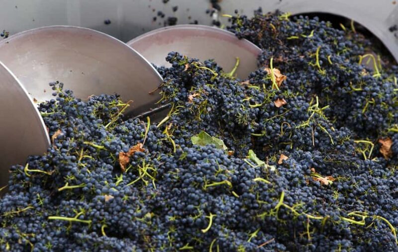 Yarra Valley: Winery Tour with Lunch at Yering Station - Is It Worth the Price?