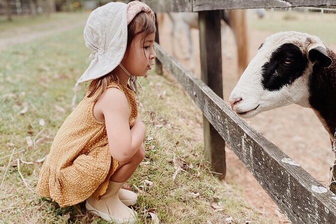 Yarramalong Valley Horse Farm Tours - The Practical Details: What Youll Need to Know