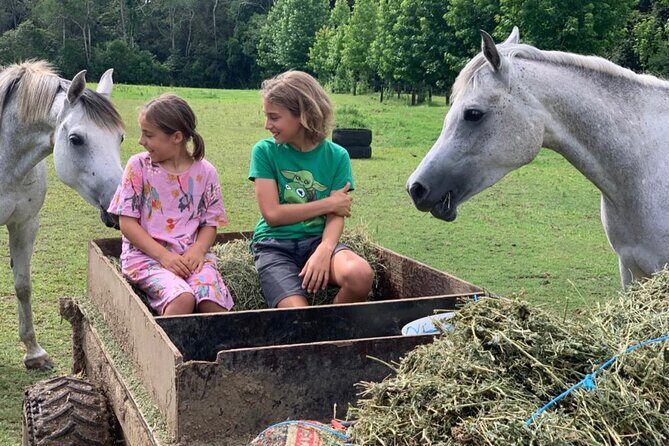 Yarramalong Valley Horse Farm Tours - The Experience for Different Travelers