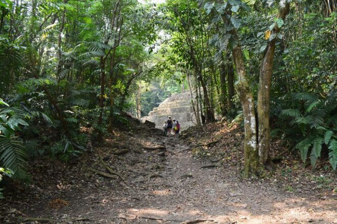 Yaxchilan & Bonampak Ruins and Lacandon Jungle From Palenque - Inclusions and Exclusions