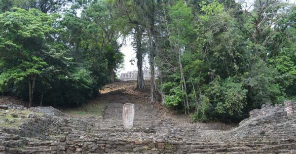 Yaxchilan & Bonampak Ruins and Lacandon Jungle From Palenque - Tour Duration and Price