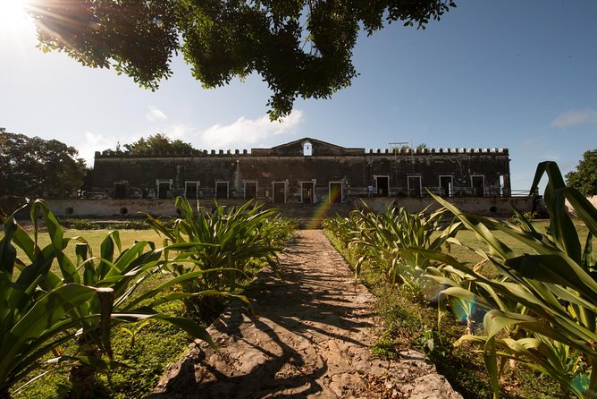 Yaxcopoil Hacienda & Uxmal Plus Cenote From Merida - Customer Reviews and Feedback