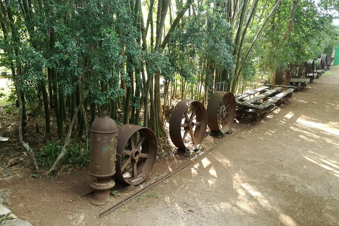 Yaxcopoil Hacienda & Uxmal Plus Cenote From Merida - Specific Experiences and Concerns