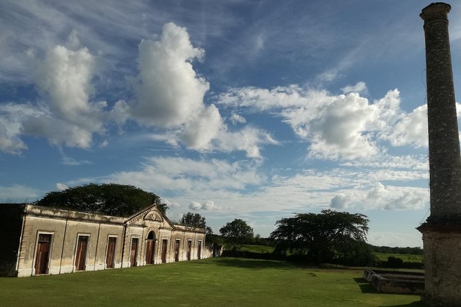 Yaxcopoil Hacienda & Uxmal Plus Cenote From Merida - Viator as the Tour Provider