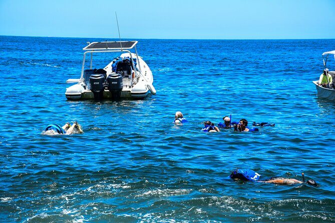 Yelapa Adventure and Snorkeling Escape in Puerto Vallarta - Practical Details and Value