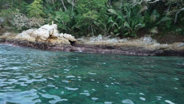 Yelapa: All Inclusive Tour - Explore Yelapa