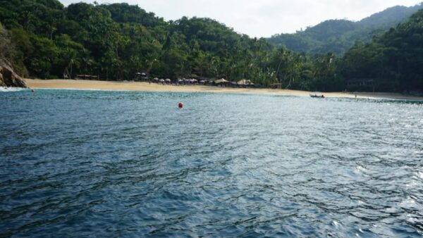 Yelapa: All Inclusive Tour - Frequently Asked Questions