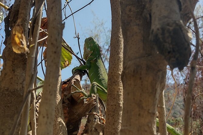 Yelapa Escape - What to Expect