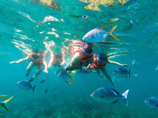 Yelapa Waterfall & Majahuitas Beach BBQ + Snorkel and Kayaks - Meeting Point and Check-in