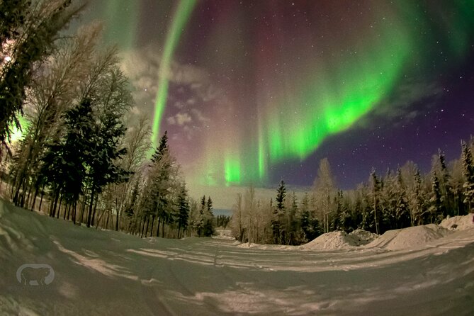 Yellowknife 2 Nights Aurora Hunting and Viewing in Lakeview Cabin - Cozy Viewing Cabin With Snacks