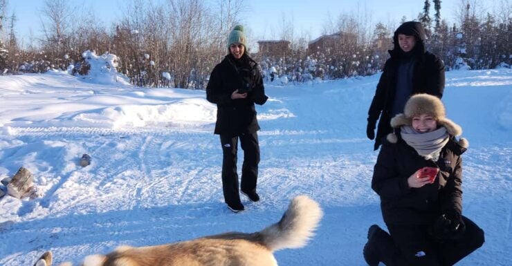 Yellowknife: Dog Sledding Tour - Highlights of the Experience