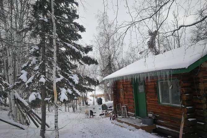 Yellowknife Northwest Territories Dog Sledding Experience - What to Expect