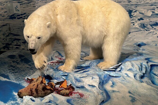 Yellowknife Sightseeing City Tour - FAQ