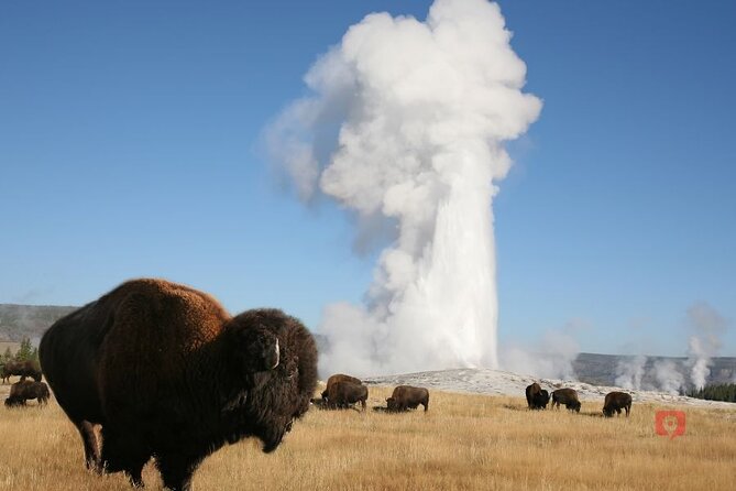 Yellowstone and Grand Teton Audio Driving Tour - Common Questions (FAQs) and Helpful Tips