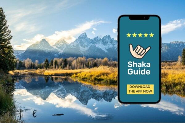 Yellowstone and Grand Teton National Park: Audio Tour Guide - What to Bring and Prepare