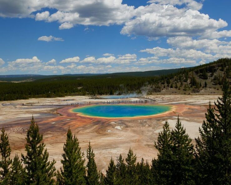 Yellowstone: Bespoke Photo Tour - Summer - Tour Highlights