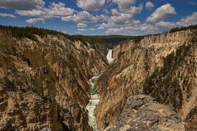 Yellowstone: Bespoke Photo Tour - Summer - Instructor Expertise