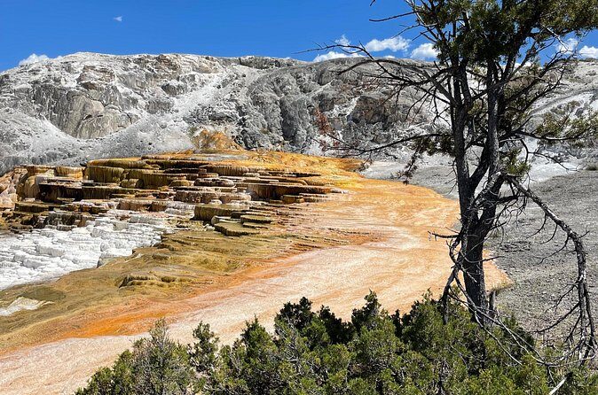 Yellowstone Bus Tour - Final Thoughts: Who Is This Tour Best For?