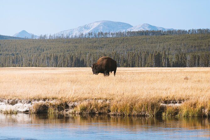 Yellowstone Full Day Small Group Tour (Deep Creek) - Good To Know