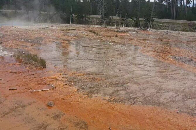 Yellowstone Grand Teton and Coeur dAlene 5-Day Tour from Seattle - Good To Know