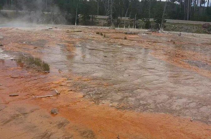 Yellowstone Grand Teton and Coeur dAlene 5-Day Tour from Seattle - Final Thoughts: Is This Tour Right for You?