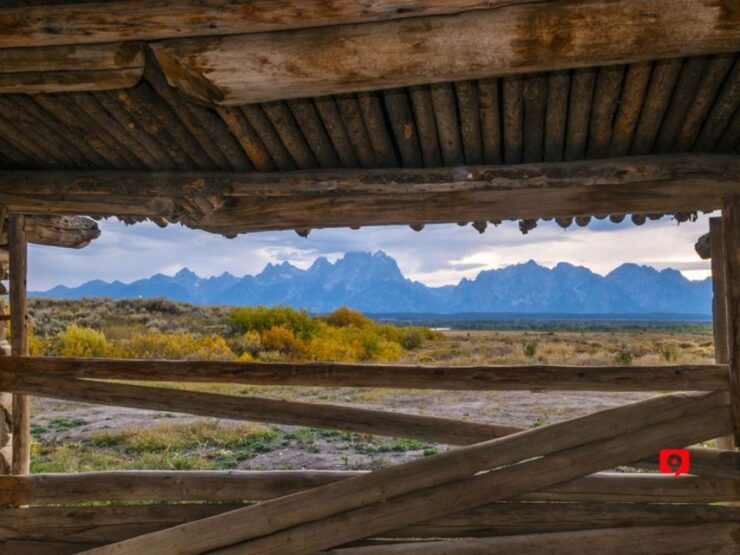 Yellowstone & Grand Teton: Self-Guided Audio Driving Tours - Booking Details and Information