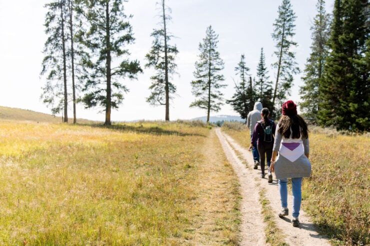 Yellowstone & Grand Tetons: 4-Day/3-Night Wildlife Adventure - Activity Details and Booking Information