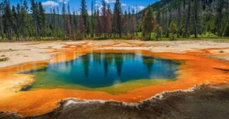 Yellowstone & Grand Tetons: 4-Day/3-Night Wildlife Adventure - Tour Highlights