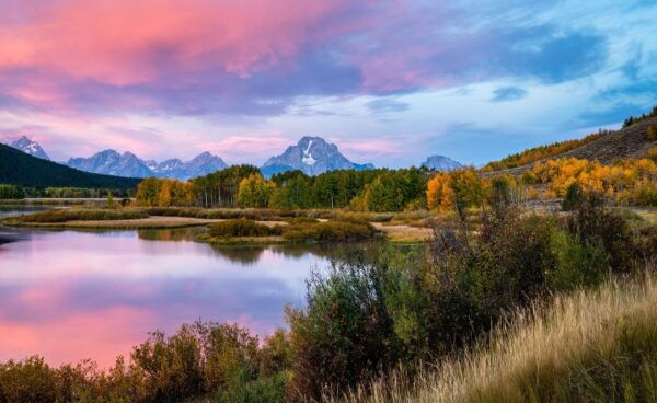 Yellowstone & Grand Tetons: 4-Day/3-Night Wildlife Adventure - Day 4 Itinerary