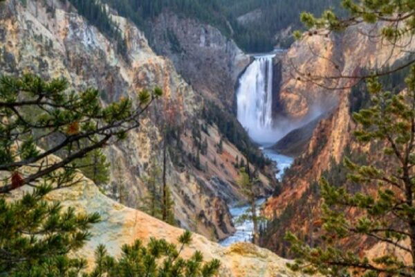 Yellowstone & Grand Tetons: 4-Day/3-Night Wildlife Adventure - The Sum Up