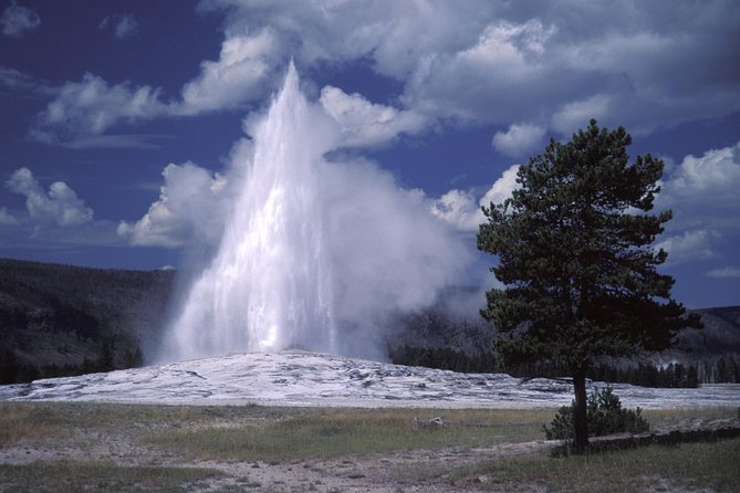 Yellowstone Lower Loop Full-Day Tour - Pricing