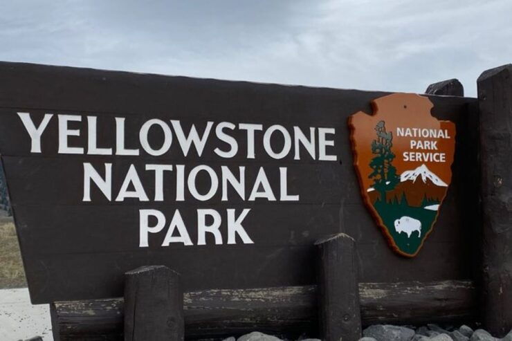 Yellowstone, MT: Lower Loop Private Tour - Booking Details