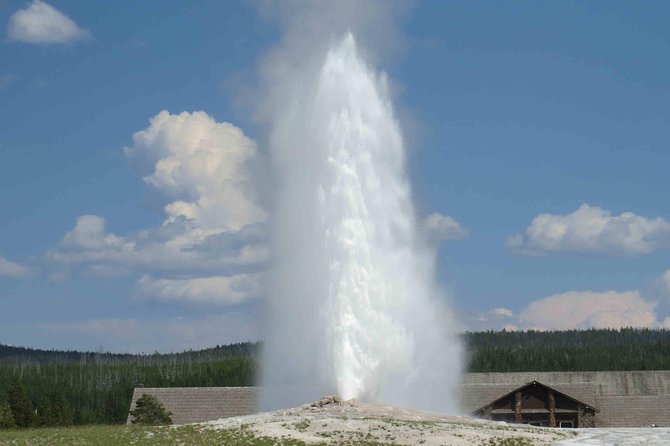 Yellowstone National Park - Full-Day Lower Loop Tour From Jackson - Tour Details