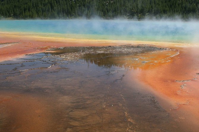 Yellowstone National Park - Full-Day Lower Loop Tour From Jackson - Positive Feedback on Tour Guides