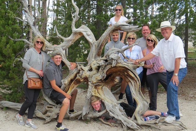 Yellowstone National Park - PRIVATE Full-Day Lower Loop Tour From W. Yellowstone - Tour Highlights