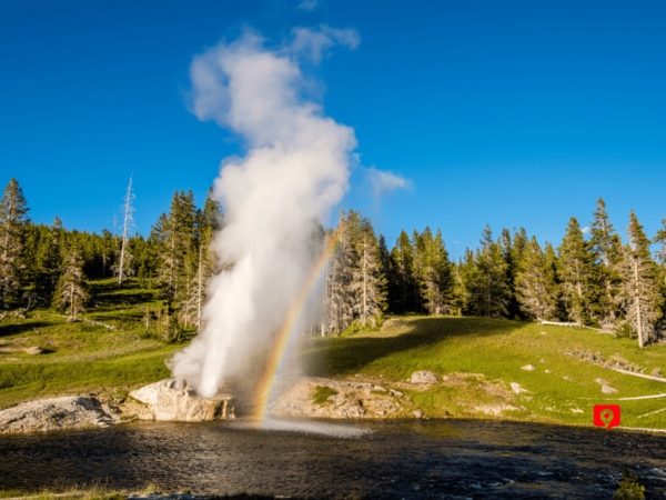 Yellowstone National Park: Self-Guided Scenic Drive Tour - Booking and Confirmation Process