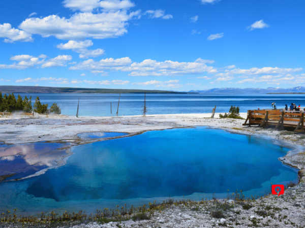 Yellowstone National Park: Self-Guided Scenic Drive Tour - Wildlife and Landscape Exploration